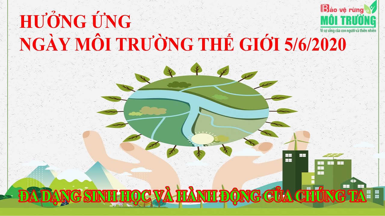 hưởng ưng ngày môi trường thế giới