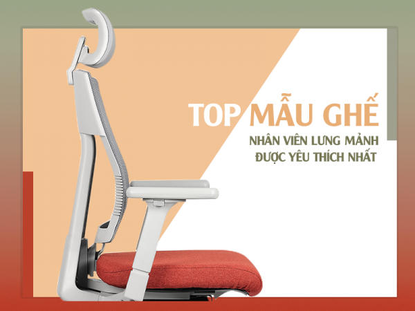 Các mẫu ghế lưới nhân viên được ưa chuộng nhất