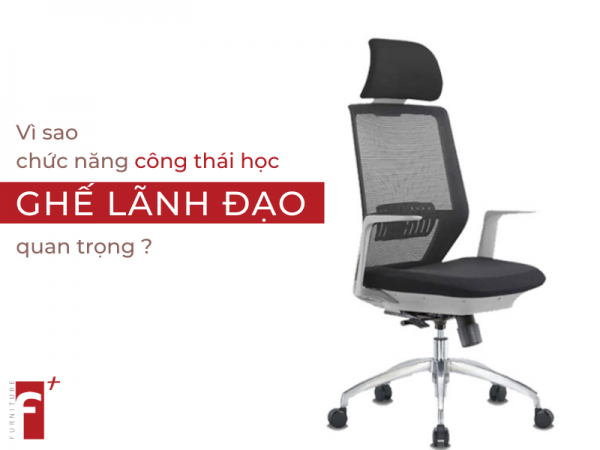 Vì sao chức năng công thái học quan trọng khi chọn ghế lãnh đạo
