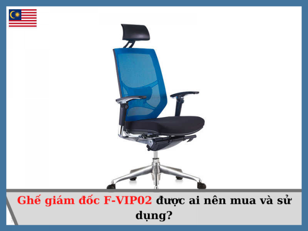 Ai nên mua và sử dụng ghế giám đốc lưới Malaysia F-VIP02?