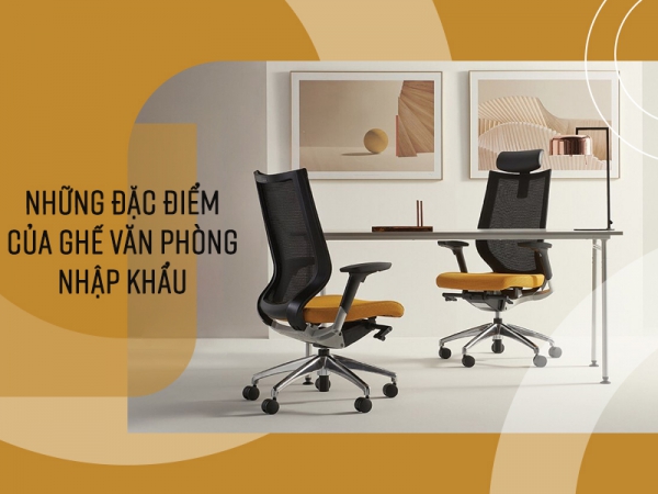 Ghế văn phòng nhập khẩu nguyên chiếc có những đặc điểm gì